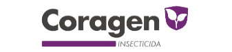 LOGOS-I-02-removebg-preview.png