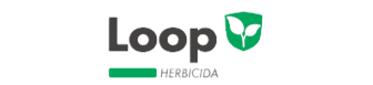 LOGOS-II-13-removebg-preview.png