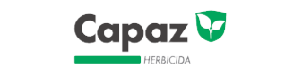 LOGOS-II-02-removebg-preview.png