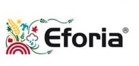 EFORIA.jpg